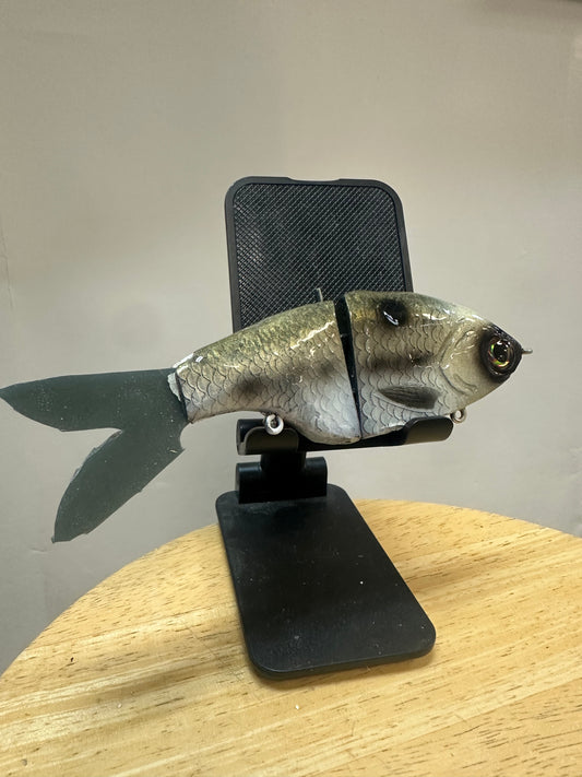 Hero in river herring