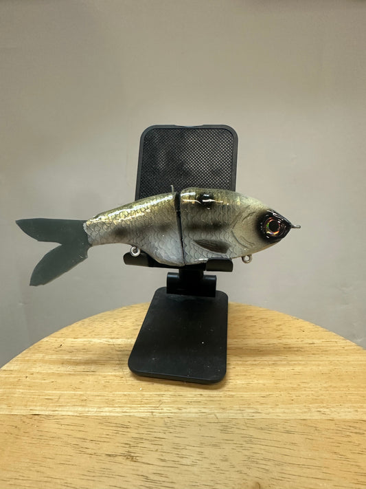 Hero in river herring