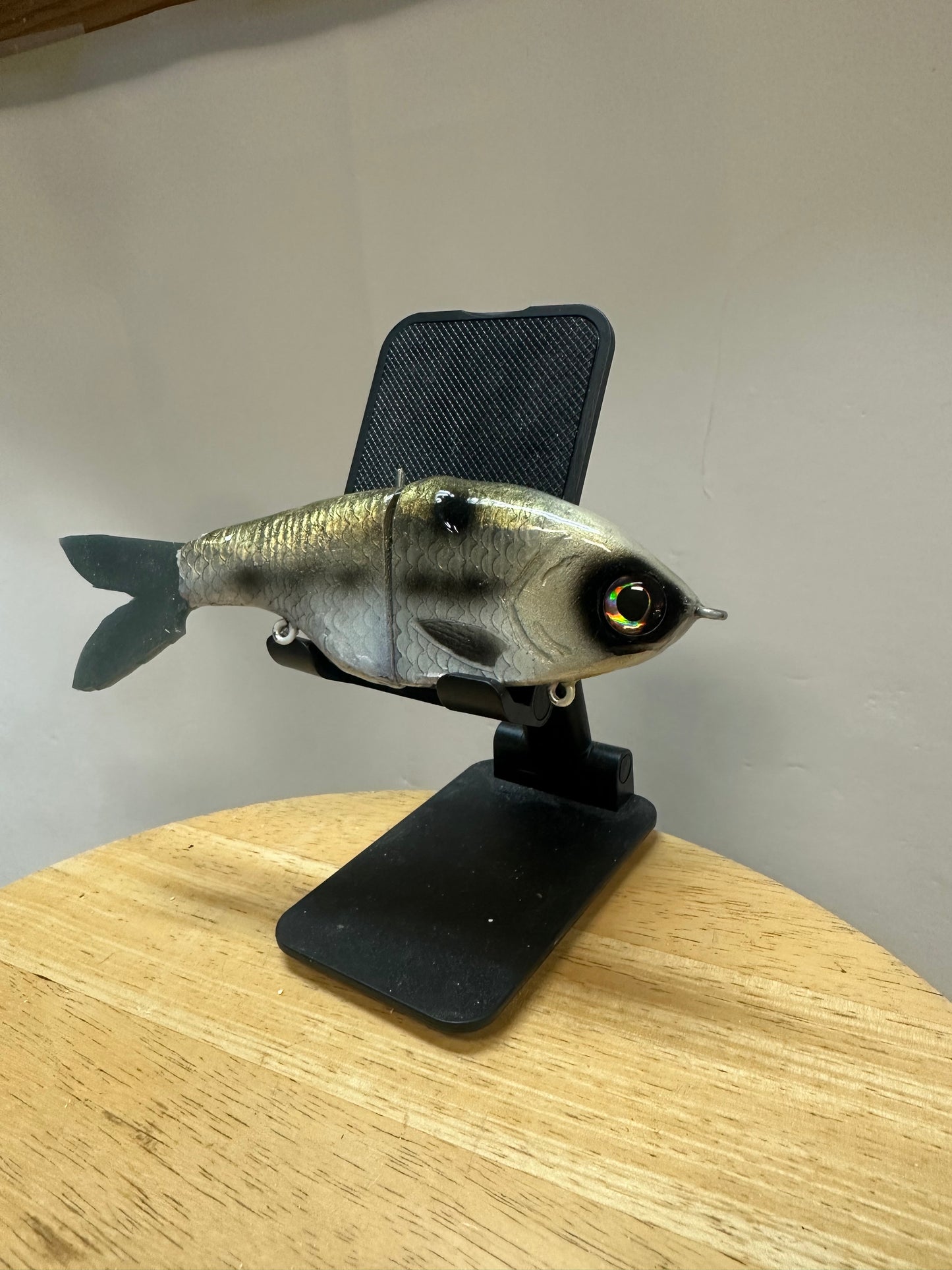 Hero in river herring